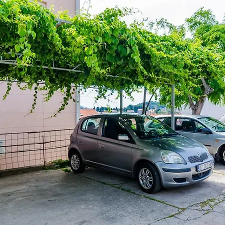 Jelena Дубровник